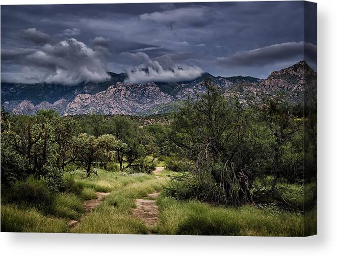 Santa Catalina Mountains Canvas Print featuring the photograph Odyssey Into Clouds by Mark Myhaver