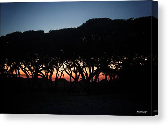 Fort Fisher Sunset Scene Canvas Print featuring the digital art Oh Those Trees by Phil Mancuso