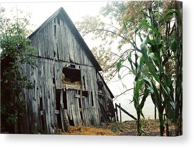 Rural Canvas Print featuring the photograph Old Barn in the Morning Mist by Frank DiMarco