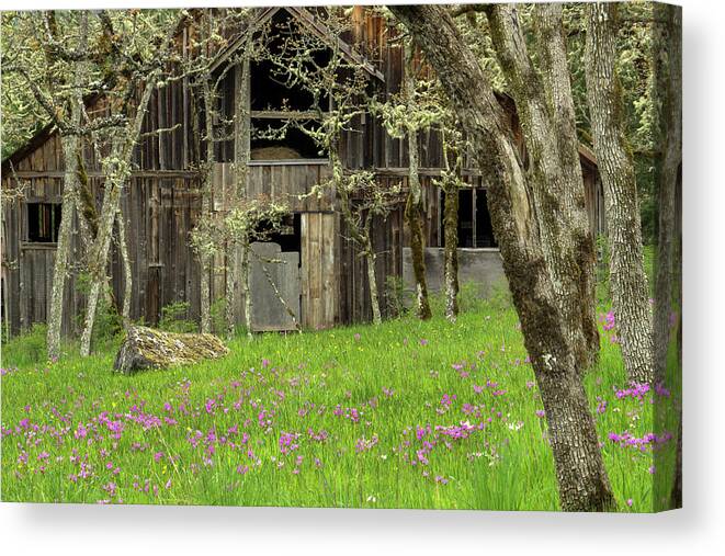 Barn Canvas Print featuring the photograph Old Barn on Vancouver Island by Inge Riis McDonald
