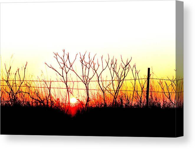 Landscape Canvas Print featuring the photograph Old Fence by David Ralph Johnson