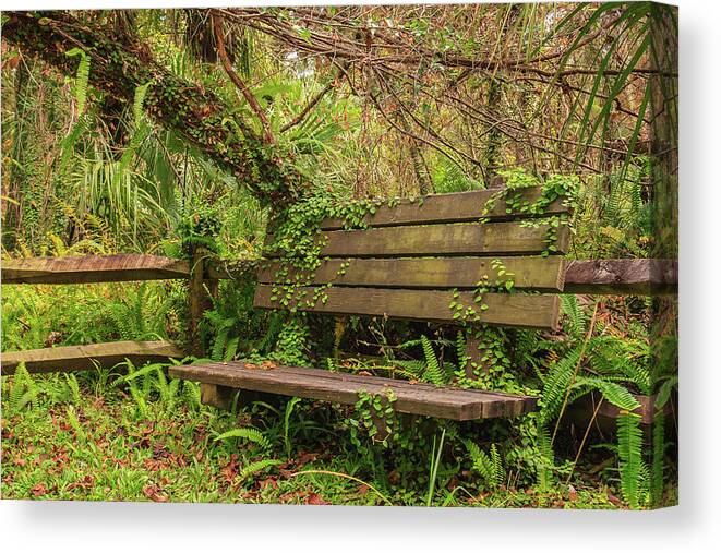 Florida Canvas Print featuring the photograph Old Forest Bench by Stefan Mazzola