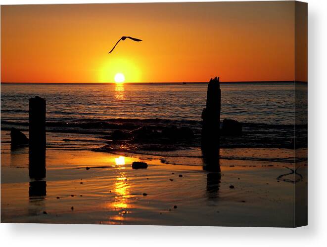 Seagull Canvas Print featuring the photograph Old piers by Andrew Dickman