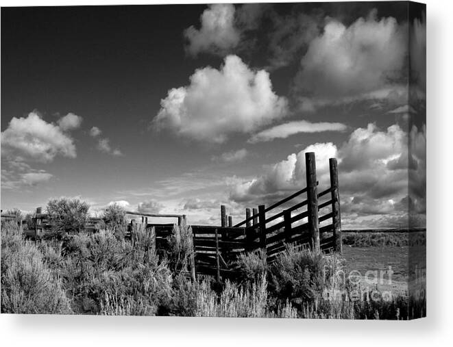 Loading Shoot Canvas Print featuring the photograph Old Shoot in black and white by Edward R Wisell