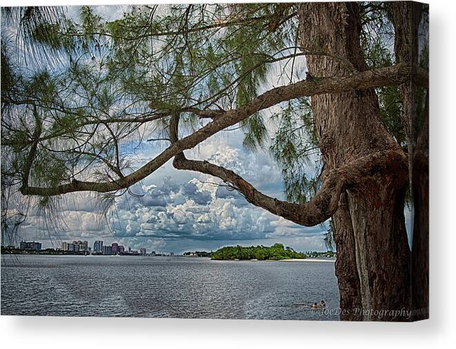 Tree Canvas Print featuring the photograph Old Soul by Joseph Desiderio