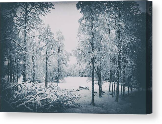 Vintage Canvas Print featuring the photograph Old Vintage Winter Landscape by Christian Lagereek