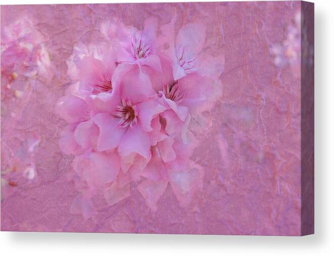 Oleander Canvas Print featuring the photograph Oleander Blossoms by Lorraine Baum