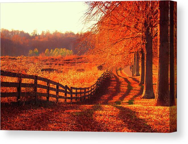 Warrenton Canvas Print featuring the photograph On A Day Like Today by Iryna Goodall