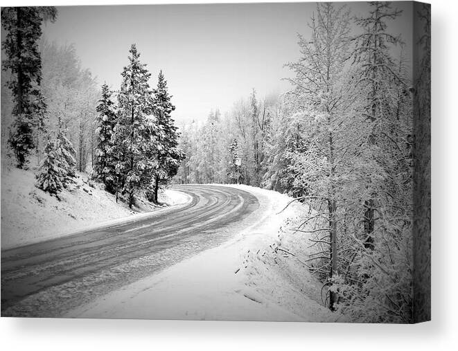 Road Canvas Print featuring the photograph On My Way Home by Fiona Kennard