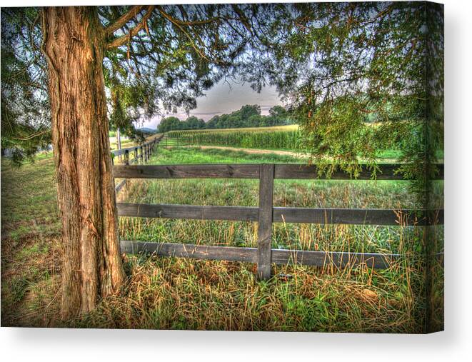 High Dynamic Range Canvas Print featuring the photograph On the Farm by Patricia Montgomery
