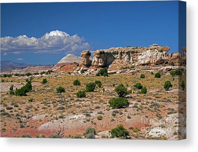 Capital Reef National Park Canvas Print featuring the photograph On the road to Cathedral Valley by Cindy Murphy - NightVisions