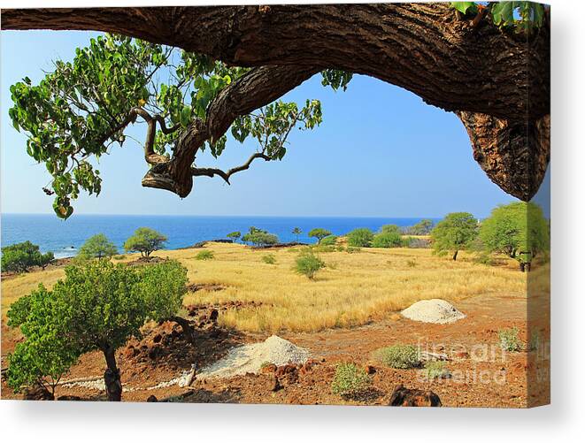 Lapakahi State Historical Park Canvas Print featuring the photograph On the Way to Lapakahi by Jennifer Robin