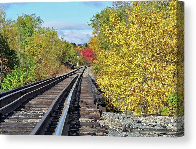 Fall Foliage Canvas Print featuring the photograph On to fall by Glenn Gordon
