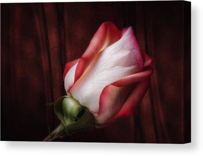 Art Canvas Print featuring the photograph One Red Rose Still Life by Tom Mc Nemar