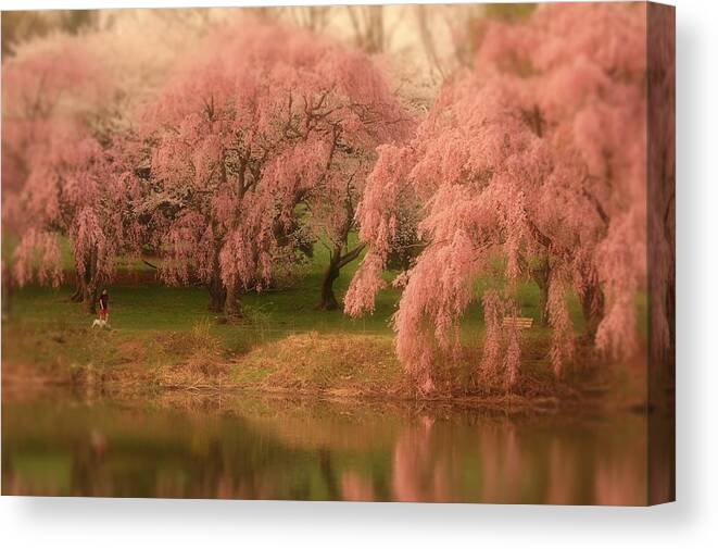 Cherry Blossom Trees Canvas Print featuring the photograph One Spring Day - Holmdel Park by Angie Tirado