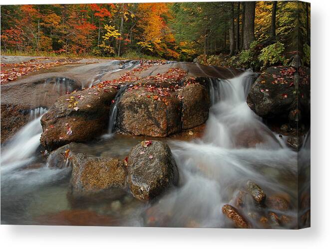 Table Rock Canvas Print featuring the photograph One Sweet Place by Juergen Roth