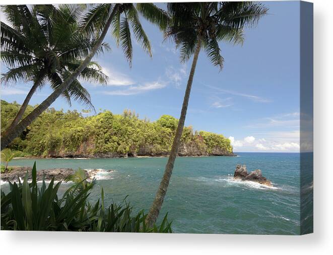 Onomea Bay Canvas Print featuring the photograph Onomea Bay by Susan Rissi Tregoning