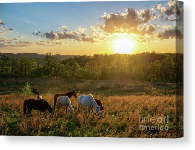 Sky Canvas Print featuring the photograph Open Spaces by Anthony Heflin