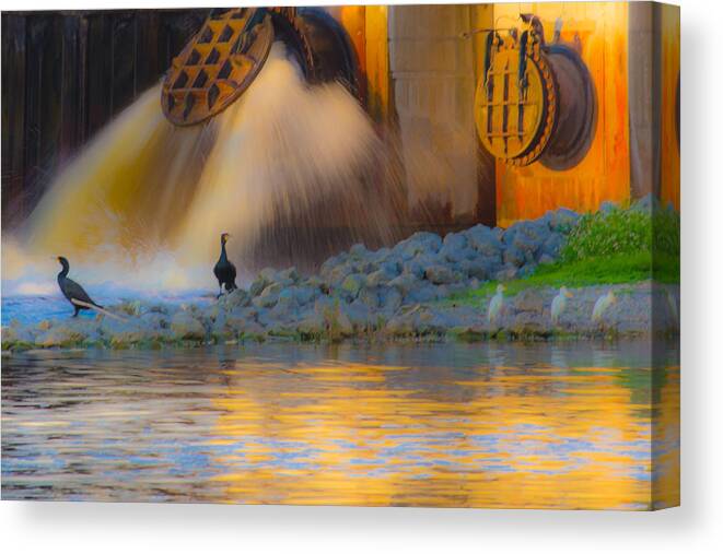 Water Canvas Print featuring the photograph Open the Dam by Dart Humeston