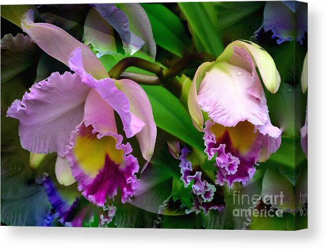 Orchids In Purple Canvas Print featuring the photograph Orchids in Purple by Jeannie Rhode