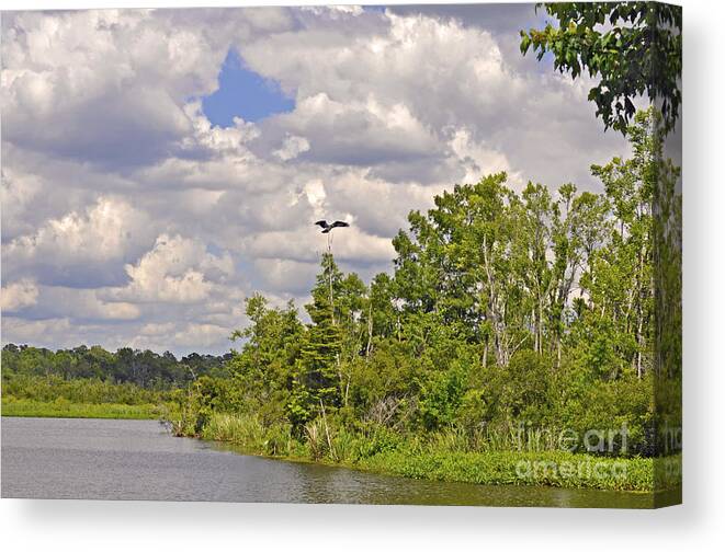  Canvas Print featuring the photograph Osprey From Flight by Donnie Smith