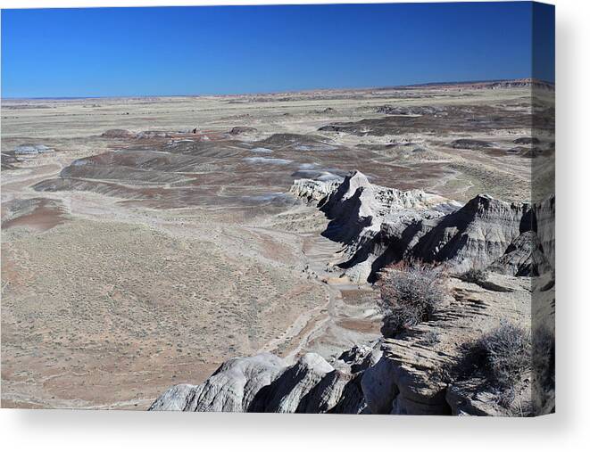 Desert Canvas Print featuring the photograph Otherworldly by Gary Kaylor