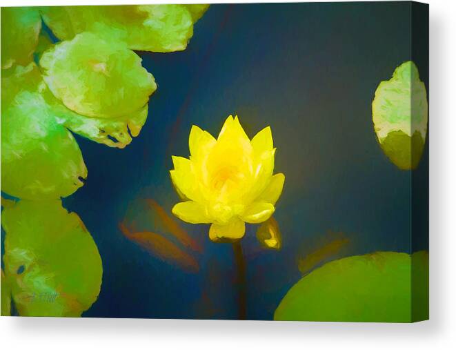 Out Of The Depths Canvas Print featuring the photograph Out Of The Depths by Bonnie Follett