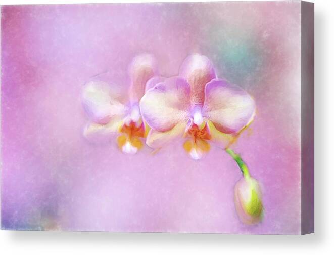 Flower Canvas Print featuring the painting Out of the Mist by Ches Black