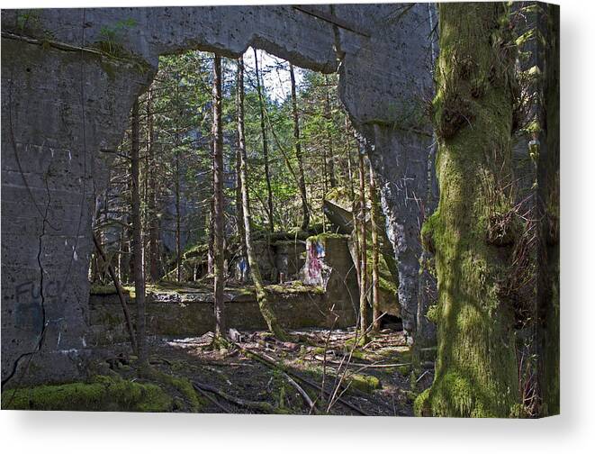 Wall Canvas Print featuring the photograph Outside Looking In by Cathy Mahnke