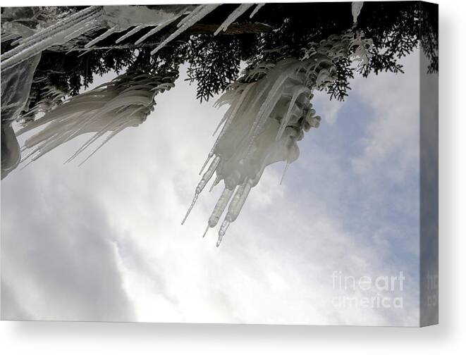 Lake Superior Canvas Print featuring the photograph Overhanging Icicles by Sandra Updyke