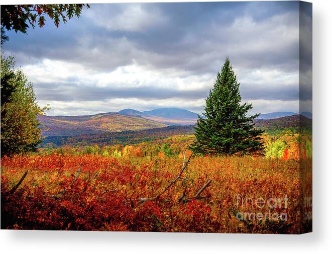 Overlook Canvas Print featuring the photograph Overlooking the Foothills by Alana Ranney