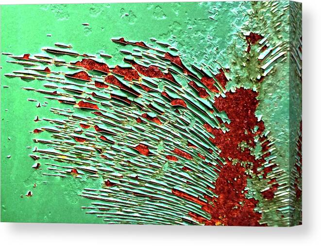 Oxidation Canvas Print featuring the photograph Oxidation #2988 by Raymond Magnani