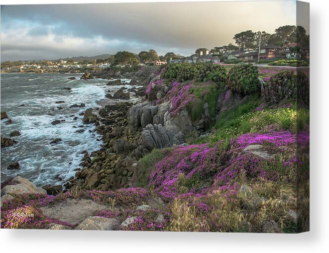 Landscape Canvas Print featuring the photograph Pacific View by Bill Roberts