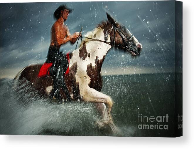 Horse Canvas Print featuring the photograph Paint horse running in the water by Dimitar Hristov