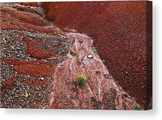Bentonite Canvas Print featuring the photograph Painted Mudflow by John Christopher