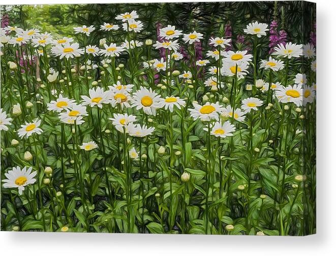 Flower Canvas Print featuring the photograph Painterly Daisy Patch by Gary Slawsky