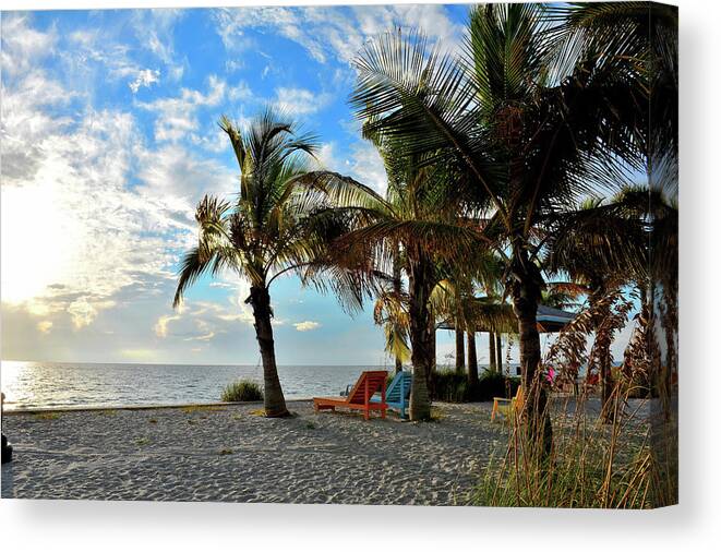 Palm Trees Canvas Print featuring the photograph Palm Beach by Alison Belsan Horton