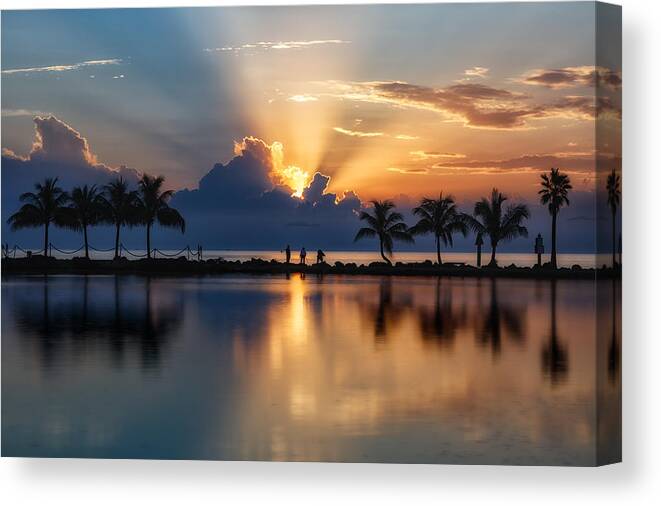 Matheson Hammock Park Canvas Print featuring the photograph Palm Tree Framed Sunrise by Andres Leon