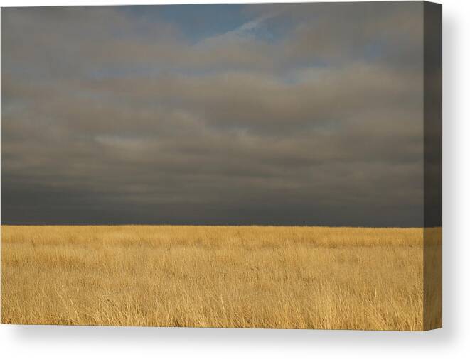 Landscape Canvas Print featuring the photograph Panhandle Sky - 5568 by Jon Friesen