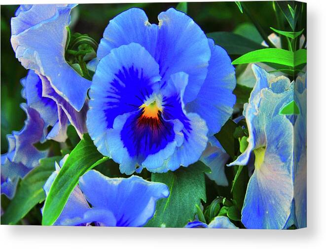  Canvas Print featuring the photograph Pansies by Joe Burns