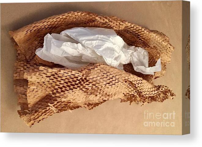 Color Texture Pattern Light Canvas Print featuring the photograph Paper Series 1-11 by J Doyne Miller