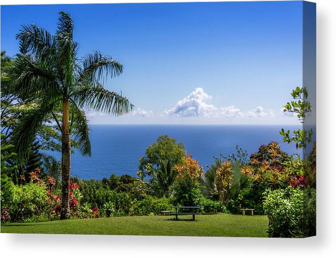 Hawaii Canvas Print featuring the photograph Paradise Picnic by Daniel Murphy