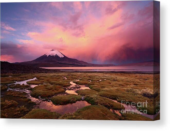 Chile Canvas Print featuring the photograph Parinacota Volcano and Lake Chungara at Sunset by James Brunker