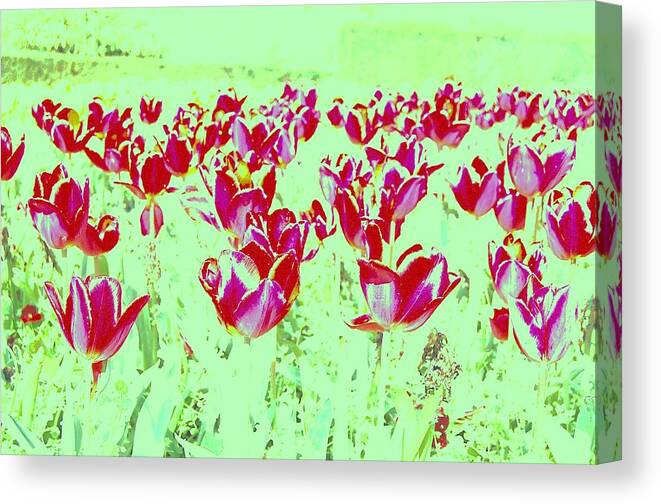 Flowers Canvas Print featuring the photograph Passion by HweeYen Ong