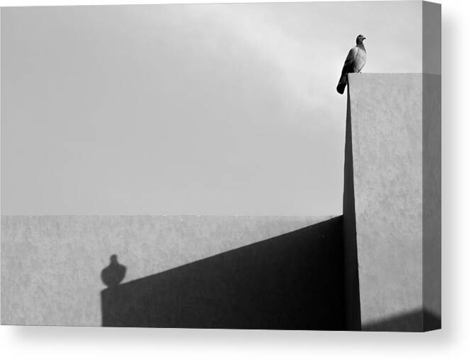 Black And White Minimalism Canvas Print featuring the photograph Past Lives by Prakash Ghai