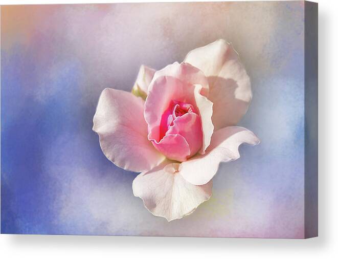 Photography Canvas Print featuring the digital art Pastel Rose Delight by Terry Davis