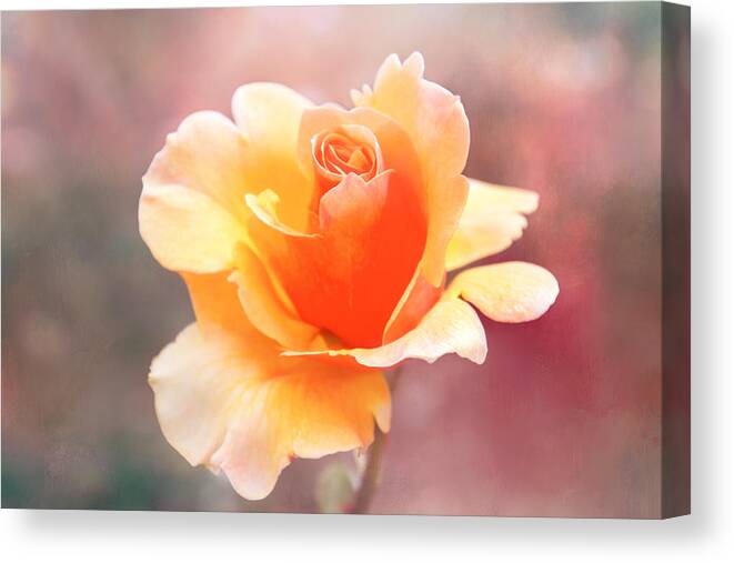 Rose Canvas Print featuring the digital art Pastel Rose by Terry Davis