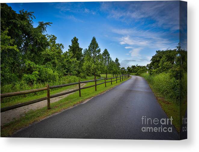 Landscape Canvas Print featuring the photograph Path - Color by Mina Isaac