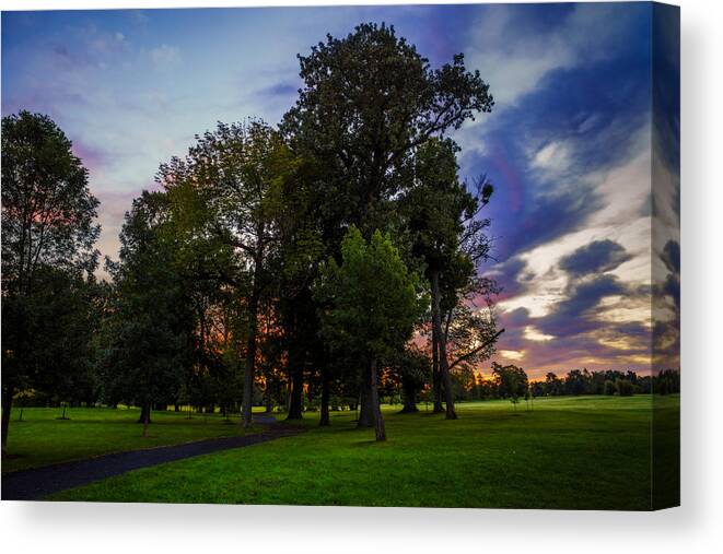 Buffalo Sunrise Canvas Print featuring the photograph Path Through Delaware Park Oaks by Chris Bordeleau