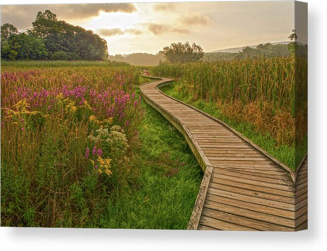  Appalachian Trail Canvas Print featuring the photograph Path To The Light by Angelo Marcialis
